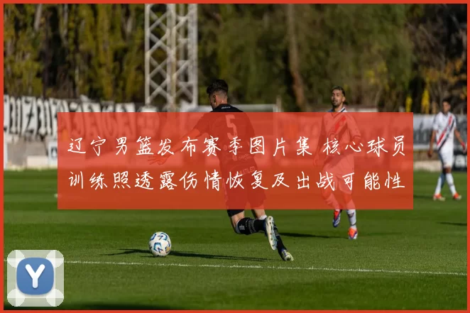 辽宁男篮发布赛季图片集 核心球员训练照透露伤情恢复及出战可能性