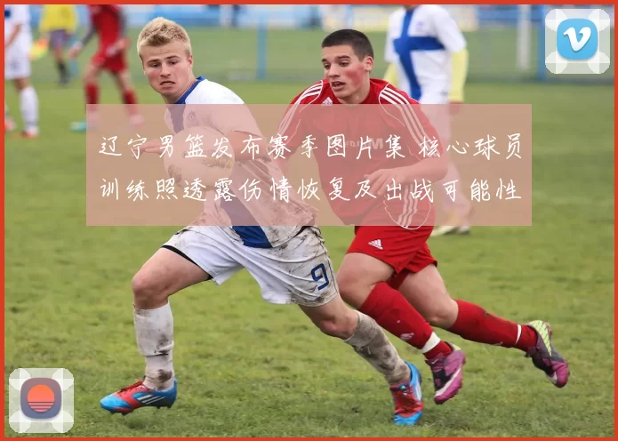 辽宁男篮发布赛季图片集 核心球员训练照透露伤情恢复及出战可能性