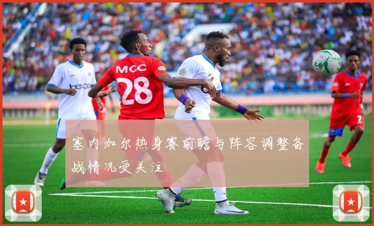 塞内加尔热身赛前瞻与阵容调整备战情况受关注