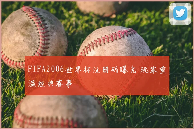 FIFA2006世界杯注册码曝光 玩家重温经典赛事