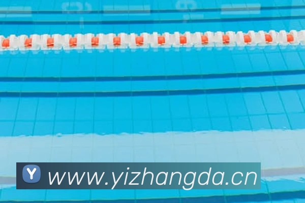 周星驰少林女足定档上映时间引发球迷关注后续票房看点十足